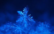 Неудачное приземление / Первые пробы макро самодельным объективом...