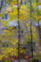 Осенняя акварель / Дождь,окно,осень
