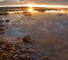 доброе утро / Нижегородская область, Борский район