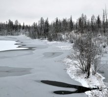 Зимы начало / Таймыр.Октябрь 2010г