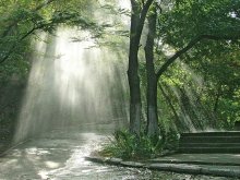 солнечный дождь / Крым. лето