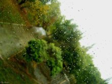 Дождь / Любимая осенняя пора - дождей капели и ярких красок листопад.