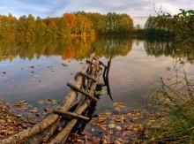 в гостях у осени / Нижегородская область, Борский район