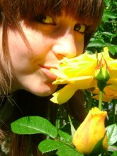Роза / Жолтая роза к разлуке...
жолтые глаза к встрече...