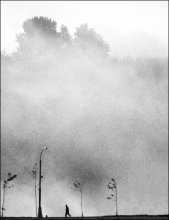   / Вот такая получилась утренняя туманная зарисовка