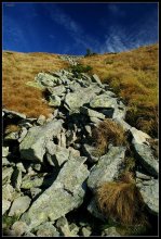 Каменные реки Карпат / сентябрь 2010...