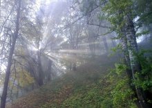 Утро / *****