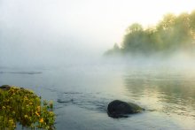 Утро на реке. / р. Паша, Вебская возвышенность