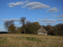 Соломенный хутор / Ровенское полесье.