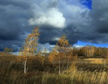 Ветренно. / Вот такой выдался денёк.