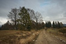 Карпатскими осенними дорогами / октябрь
1 км высоты