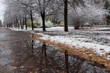 Первый снег, последние листья / Без комментариев