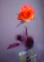 за стеклом / . . .