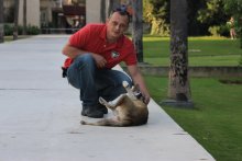 Собачка / *****