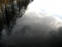 в зеркале воды... / отражение
