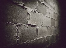 The Wall / ____________