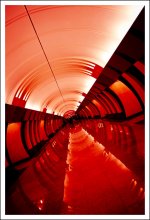 Seeing Red / Metro Marina Roshe