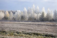 Первые заморозки / по дороге на Вилейку раннее утро морозец и иней