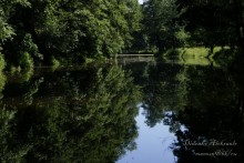 Задумчивость / петергоф