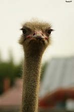 &nbsp; / Поставский район, продолжение   http://photoclub.by/work.php?id_photo=206702#t