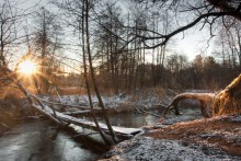 ..........Ноябрьское солнце........... / Поставил фот на штатив, установил ND8 градиентник и ждал на точке около 15 мин, пока солнце выползет из-за деревьев)))) время около 8.35...