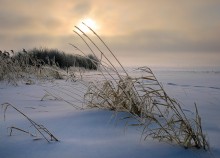 Холодное утро / Утро туманное, утро холодное