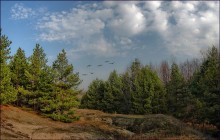 Птицы улетают / Чигиринский лес