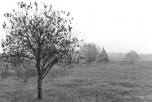 Дымка / Церквушка на поле у реки, деревья.