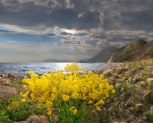 весенние берега / Крым, весна