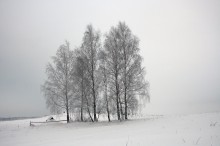 сестры / _____________