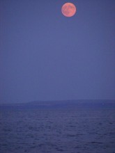 морская луна / необычайно красивый вечер
