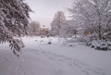 В ботаническом саду. / Мюнстер.Ботанический сад.
17.12.2010 год.