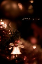 pf2011 / фрагмент домашней елки)
С рождеством и Новым годом!!!