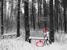 Дед мороз / Встретил случайно в лесу этого жизнерадостный старичка, он готовил подарки.)
С наступающим вас!