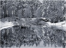 Зимняя мозаика / Небольшой водоем в зимекм лесу