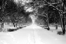 Зимний бульвар / Фотография бульвара,заметённого снегом,в дали виднеется силуэт человека,который придаёт фотографии особенность...Зимняя сказка.