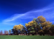 Покрывало. / Весна,все распускается,чистое небо,легкие облака...