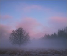 / Так начинается день / / Утро 7.12.2010