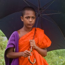 Молодой монах с терновой веточкой / Шри Ланка