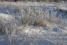 Снежный танец / 7.01.2011
