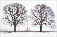 Графика Петербурга. / * * *