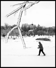 Лыжники. / Москва.