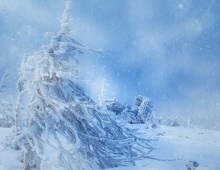 В царстве Снежной королевы. / *****