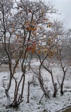 &nbsp; / Первый снег 2011 года в Севастополе