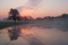 Апрельским утром / В разливе