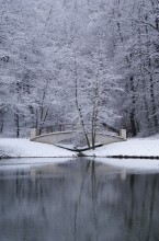 Царицыно / Москва, Царицынский парк, выпал первый снег, было пасмурно.