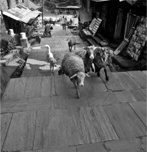 городские улочки / непал