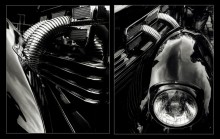 &nbsp; / SHOW-CARS 2010