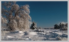 Зимнее... / в окрестностях Волгограда