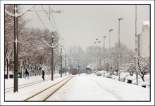 Winter Impression / Winter landscape in Belgrade.